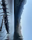 beauty of nature #191558668