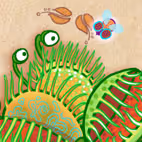 The Plants of my Garden