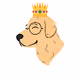 Smart Monocle Retriever's