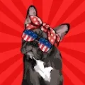 Scarlett the Frenchie -French Bulldog NFT