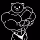 MUSCULAR CAT