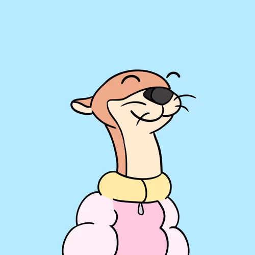 Funky Otters Collabs