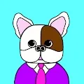 French Bulldog 22