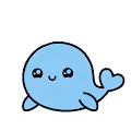 narwhal