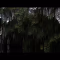 4D Noise