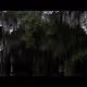 4D Noise