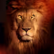 No Kingdom without Kings