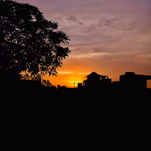 "Shadows and Light: A Collection of Silhouette Photography"