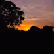 "Shadows and Light: A Collection of Silhouette Photography"