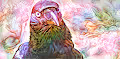 Jonah Jones Digital Collectibles