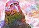 Jonah Jones Digital Collectibles