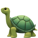 Tortuga Collection
