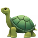Tortuga Collection