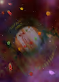 THE FOOD PLANET