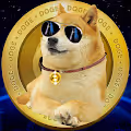 SpaceX Doge