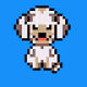 Toy Poodles
