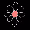 Sophies Flowers