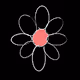 Sophies Flowers