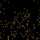 Crypto Dot Art