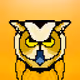 Owl face