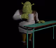 Shrek Squad
