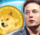 MetaverseMuskCoins