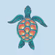 The Colourful Sea-Turtles