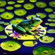 Starry Frogs on Lilypads