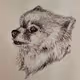 MyLovelyDog