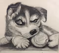 hello world animals
