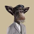 XMonkey Club 3D