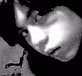 FB DP ONLY