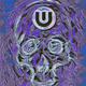 Ultra Skulls (Unofficial collection)
