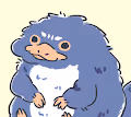 Baby Platypus