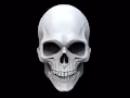 Scull and other