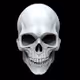 Scull and other