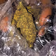 ganja artt