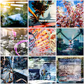 V!bz'Tapes Covers