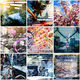 V!bz'Tapes Covers