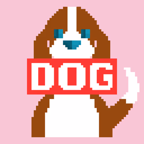 "DOG"collections