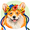 Corgi Help Ukraine