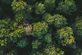 Test__95
