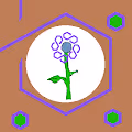 Flowers on Polygon