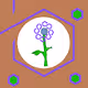 Flowers on Polygon