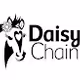 Daisy Chain Sanctuary