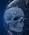 The Unrevealed Art