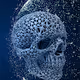 The Unrevealed Art