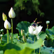 Gratitude from 10k-yoko