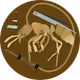 Polybugs: Myrmecology Collection
