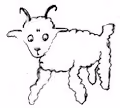 Ideal Animals
